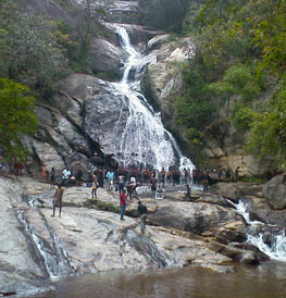 Monkey Falls